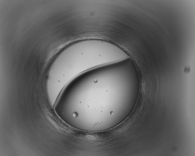X0000116830302200912241232