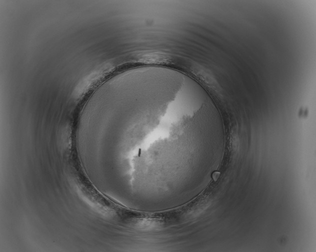 X0000116830303200912241232