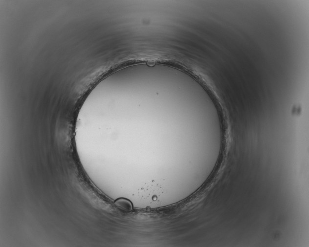 X0000116830305200912241232