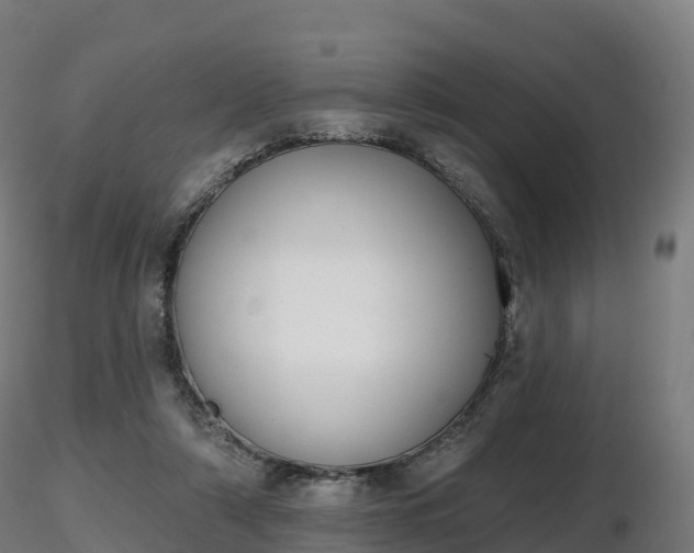 X0000116830306200912241232