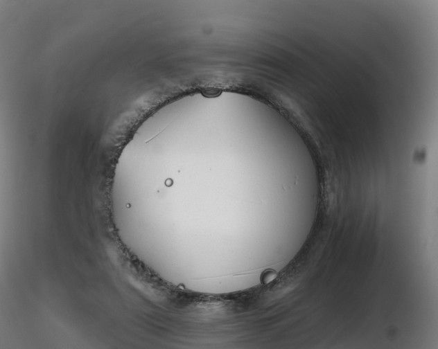 X0000116830307200912241232