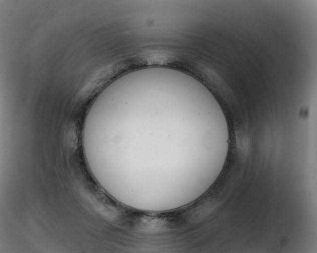 X0000116830311200912241232