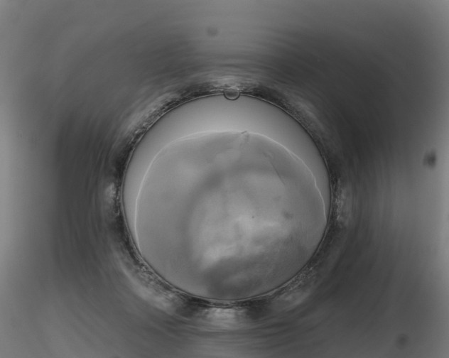 X0000116830314200912241232