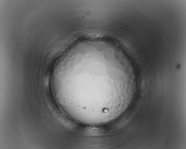 X0000116830315200912241232