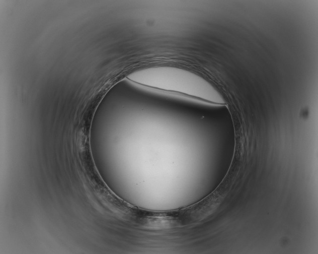X0000116830316200912241232