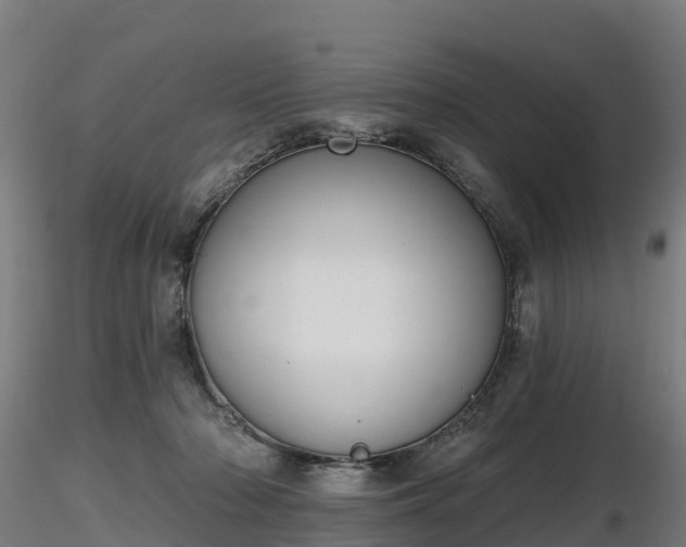 X0000116830318200912241232
