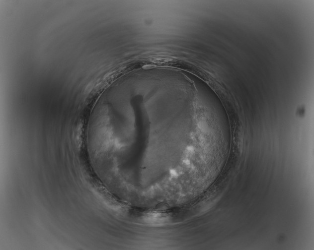 X0000116830319200912241232
