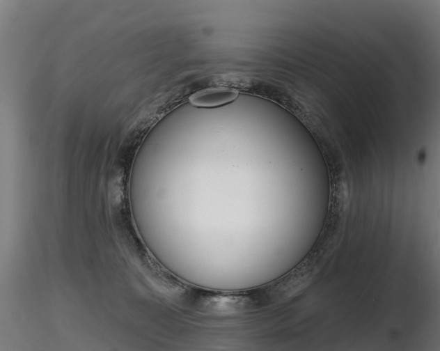 X0000116830323200912241232