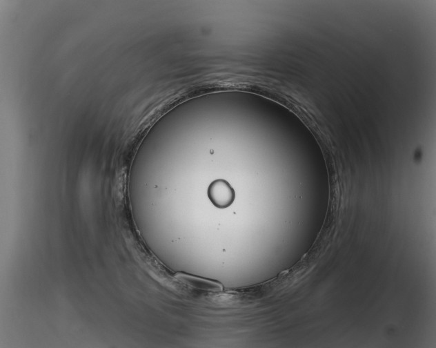 X0000116830325200912241232
