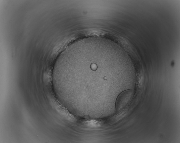 X0000116830326200912241232