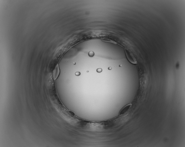 X0000116830327200912241232
