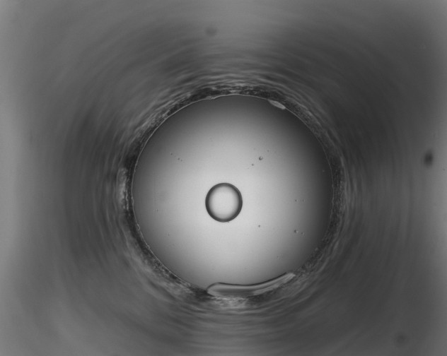 X0000116830328200912241232