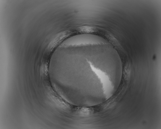 X0000116830330200912241232