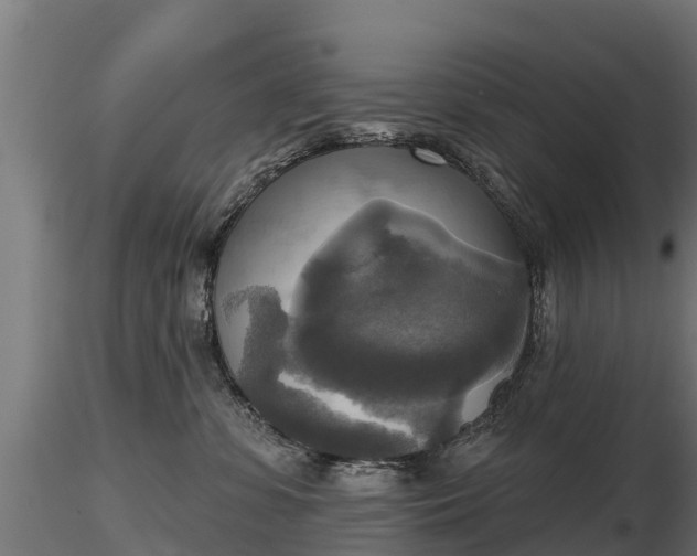 X0000116830331200912241232