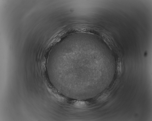 X0000116830332200912241232