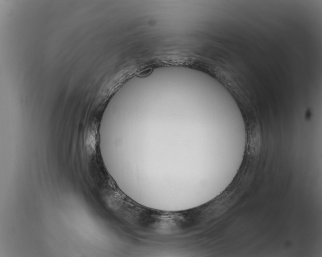 X0000116830334200912241232