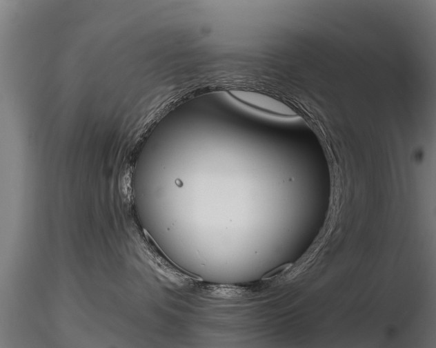 X0000116830336200912241232