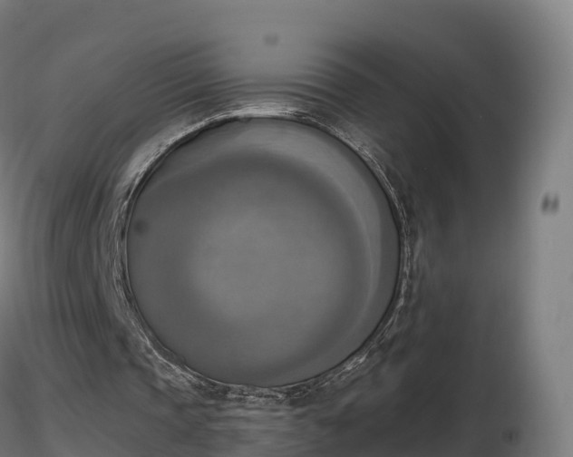 X0000116830337200912241231