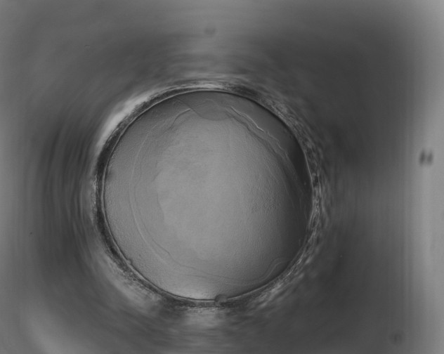 X0000116830342200912241231