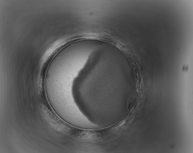 X0000116830343200912241231