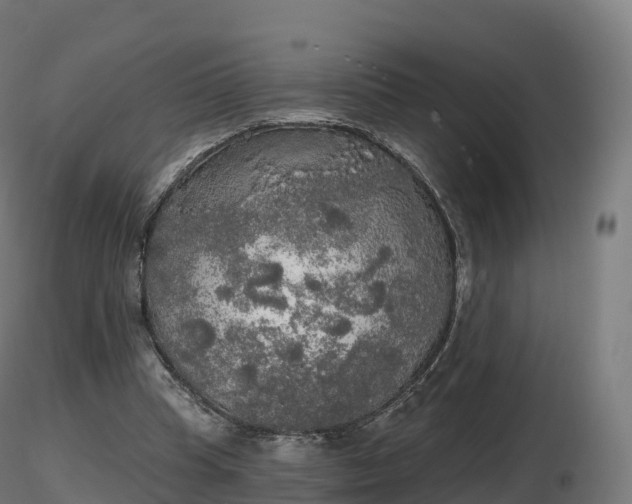 X0000116830345200912241231