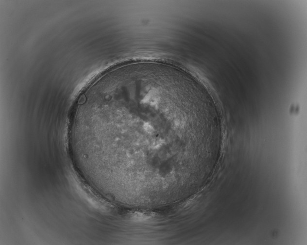 X0000116830346200912241231