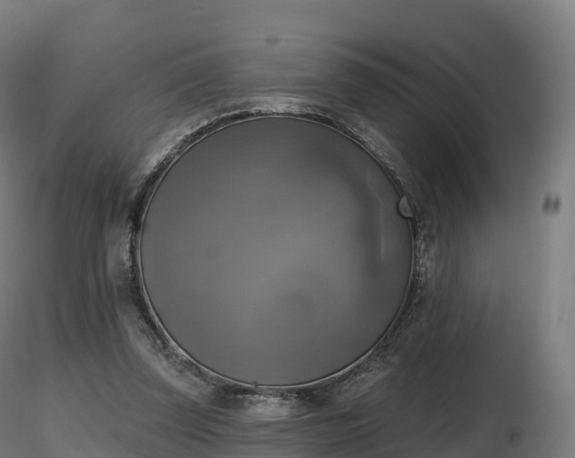 X0000116830347200912241231