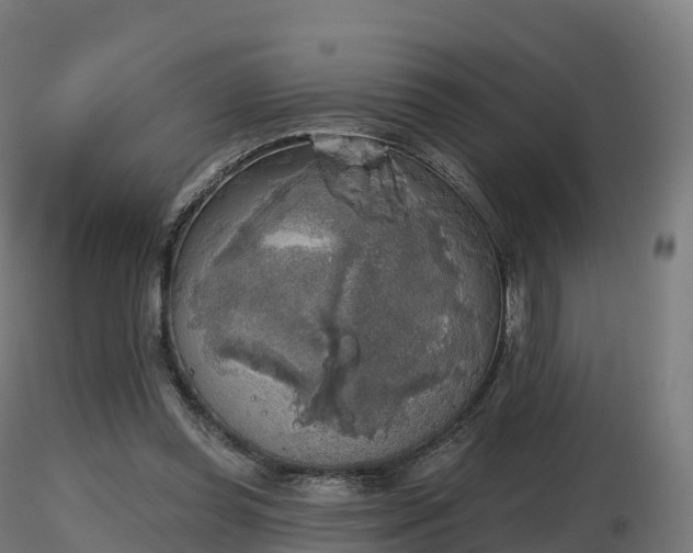 X0000116830349200912241231