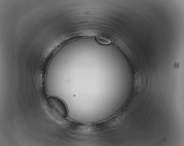 X0000116830351200912241231