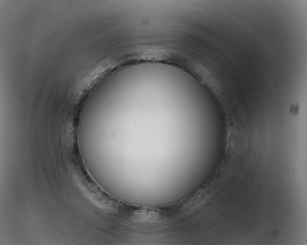 X0000116830354200912241231