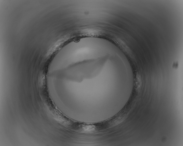 X0000116830355200912241231