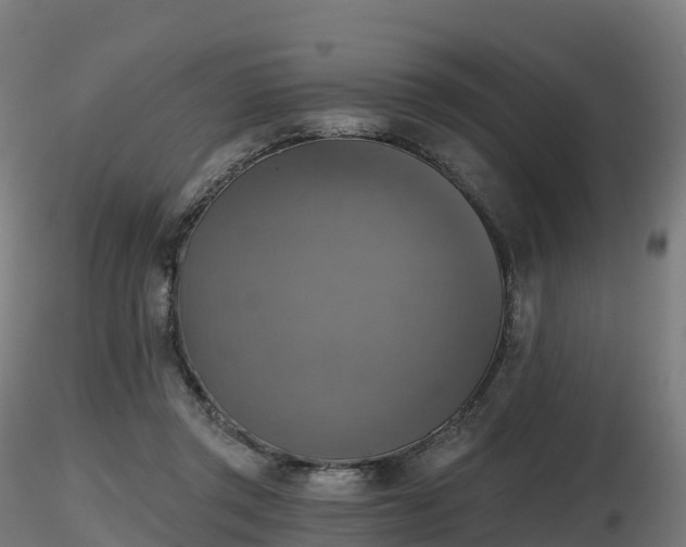 X0000116830357200912241231
