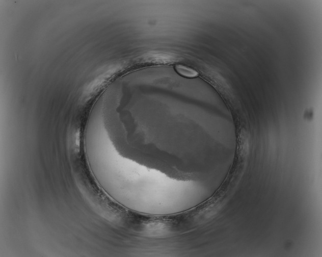 X0000116830358200912241231