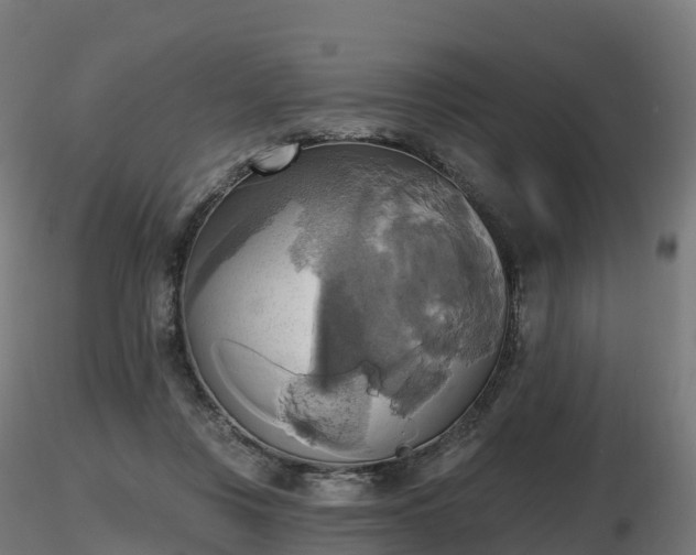 X0000116830359200912241231