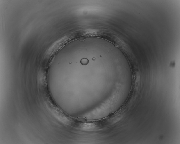 X0000116830361200912241231