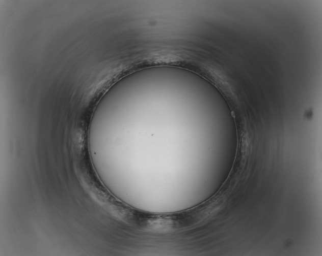X0000116830362200912241231