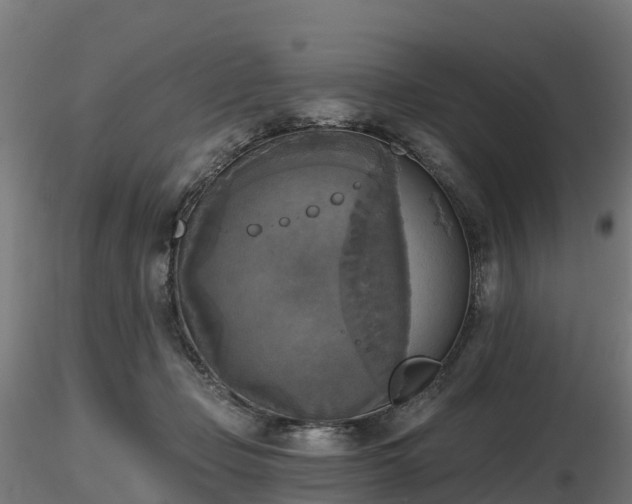 X0000116830365200912241231