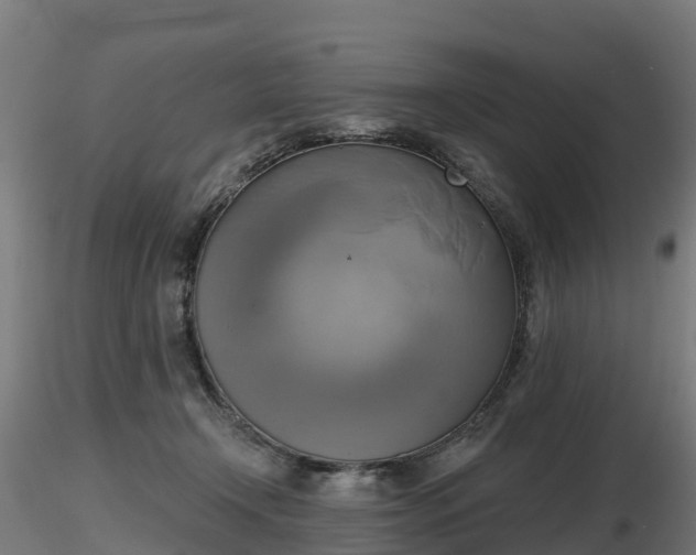 X0000116830366200912241231