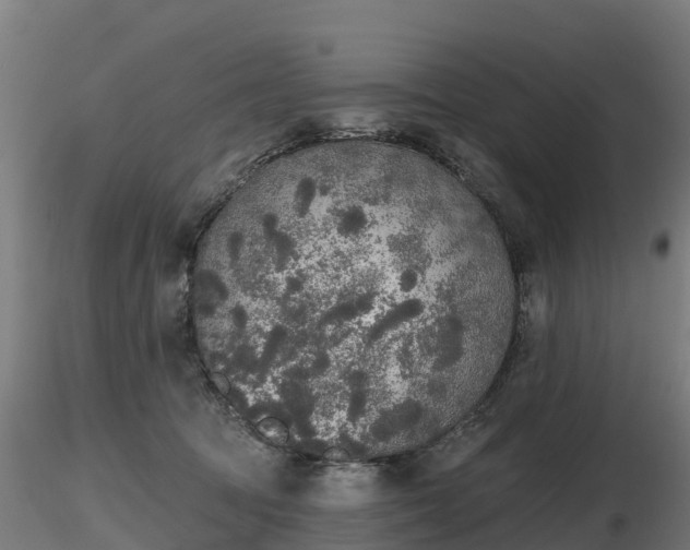 X0000116830369200912241231