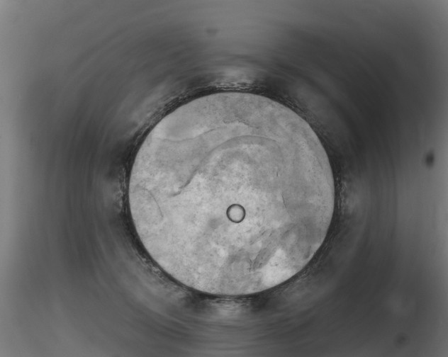 X0000116830370200912241231