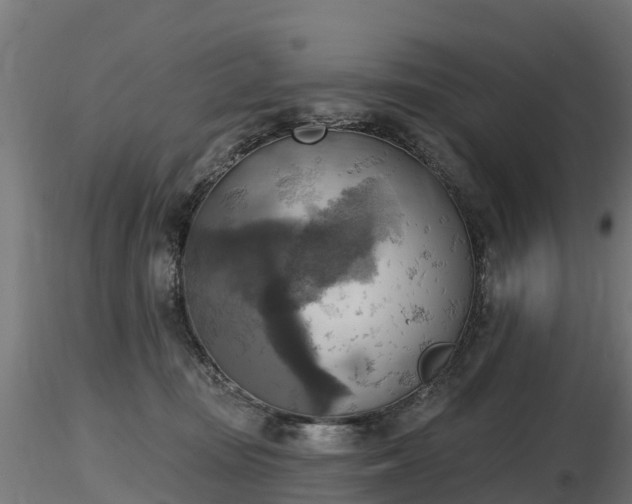 X0000116830371200912241232