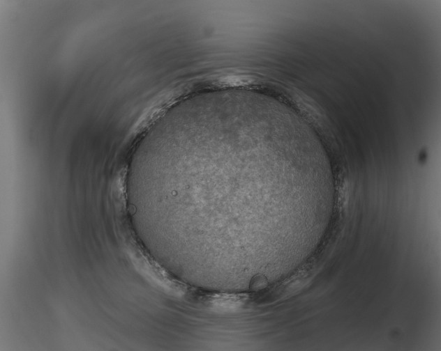X0000116830373200912241232