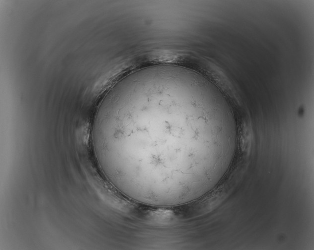 X0000116830374200912241232