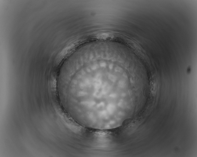 X0000116830375200912241232
