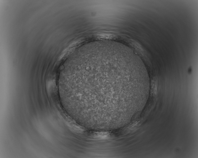 X0000116830377200912241232