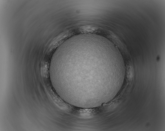X0000116830378200912241232