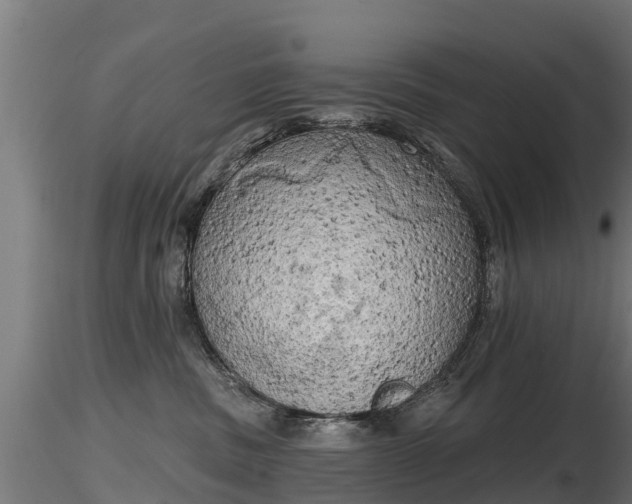 X0000116830379200912241232