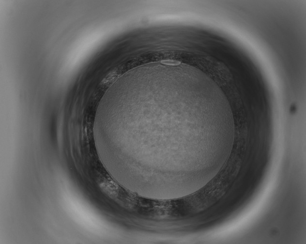 X0000116830382200912241232