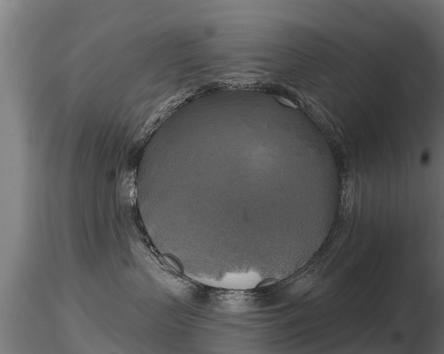 X0000116830383200912241232