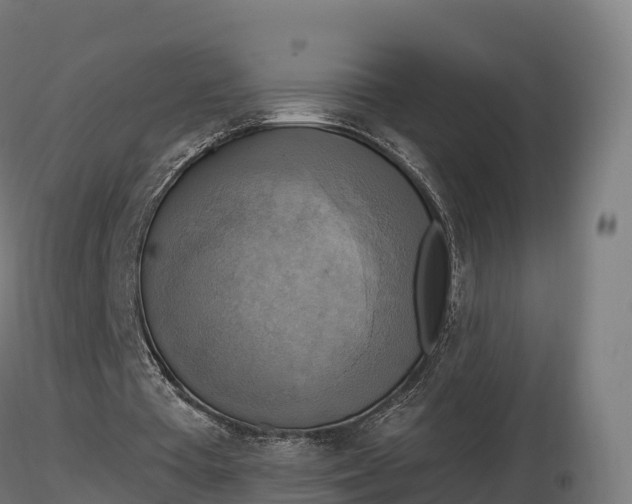X0000116830385200912241231
